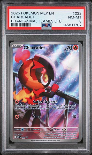 Pokemon Phantasmal Flames Charcadet #022 PSA 8