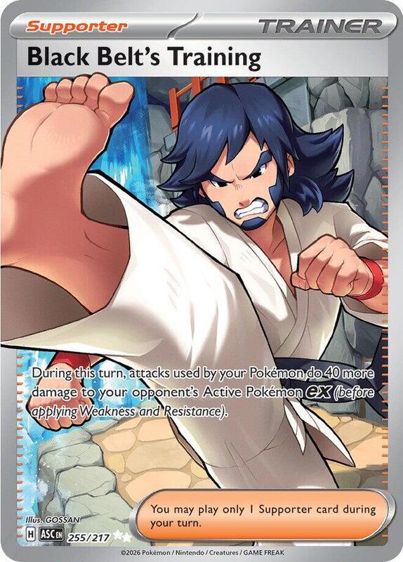 Pokemon Ascended Heroes Black Belt's Training #255