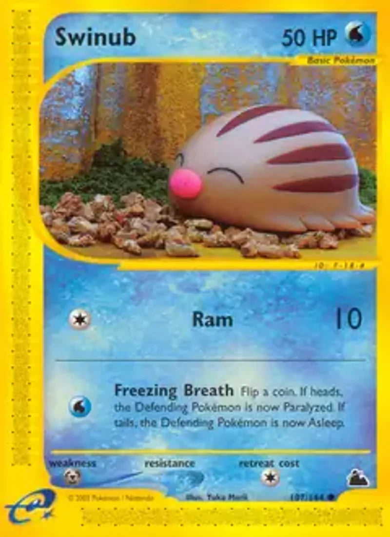 Pokemon Skyridge Swinub #107
